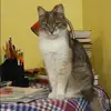 Отзыв от Оксана Белоусова